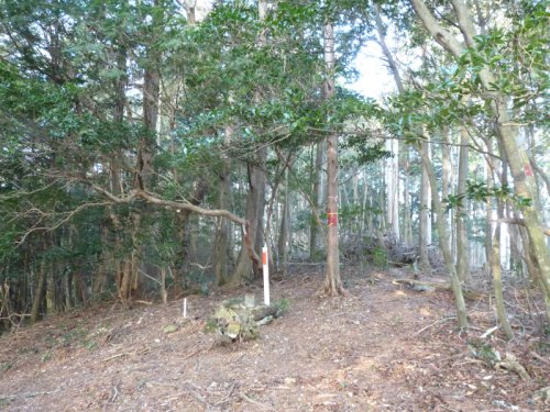 画像12